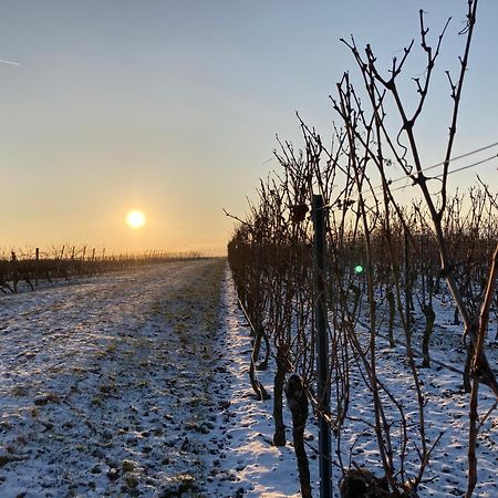 Winzerhotel Kinges-Kessel Morstadt Bagian luar foto