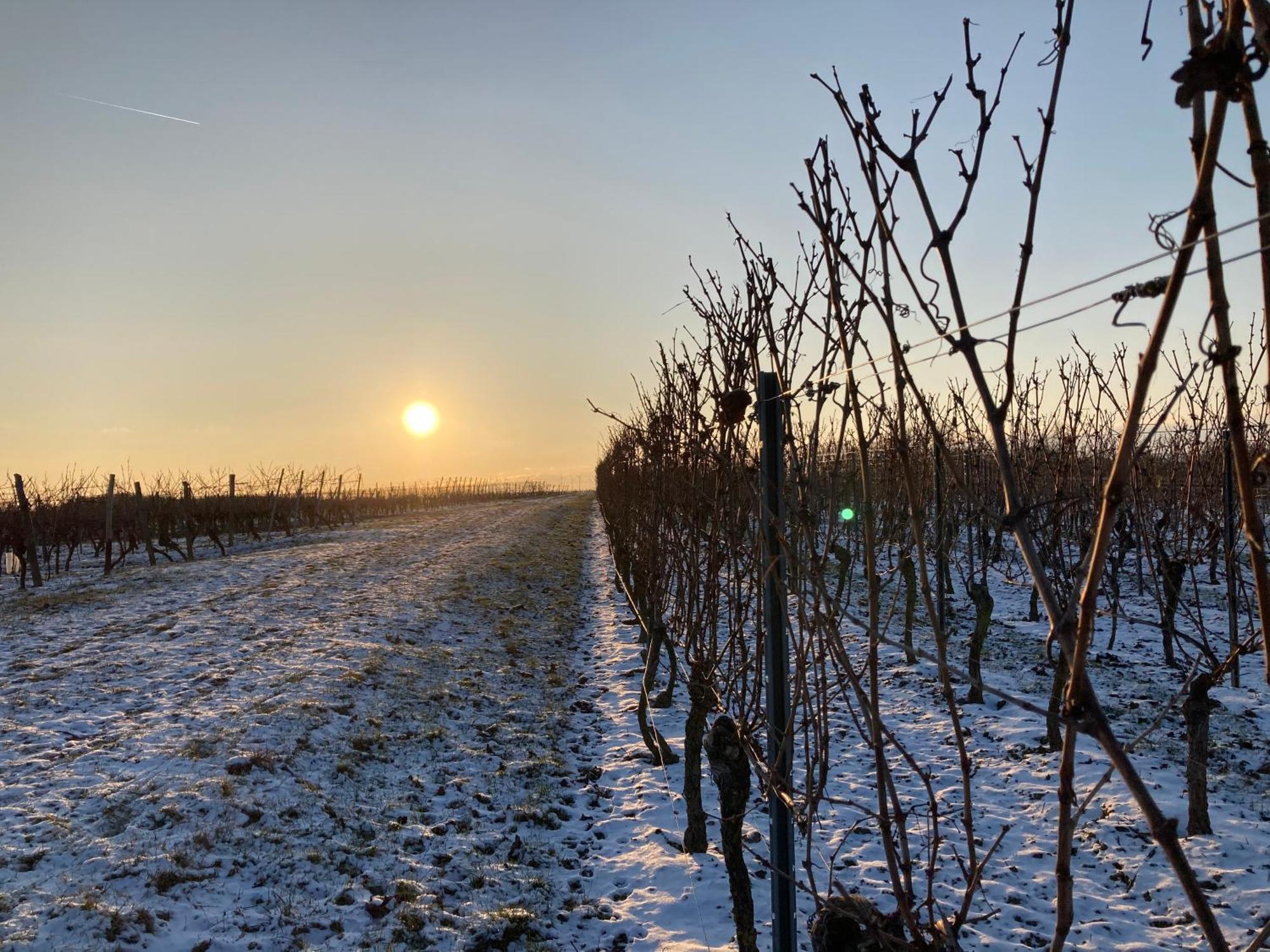 Winzerhotel Kinges-Kessel Morstadt Bagian luar foto